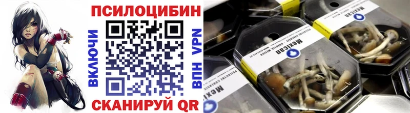 Псилоцибиновые грибы Cubensis  купить  сайты  Мещовск 
