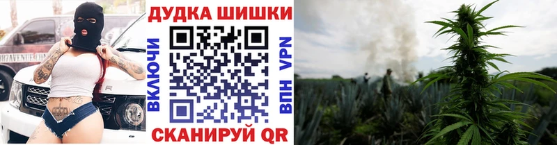 Канабис гибрид  Мещовск 